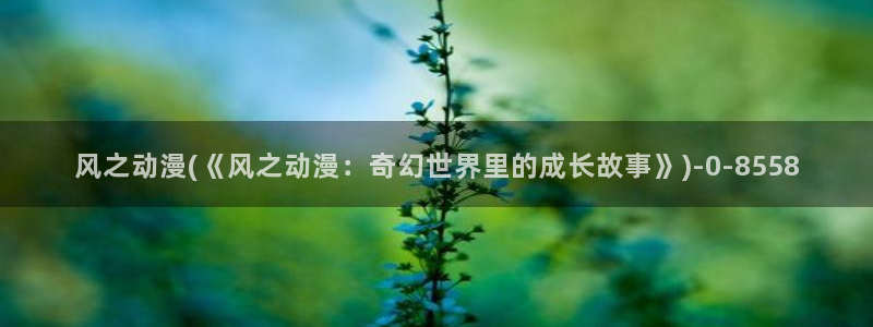 爱动漫网