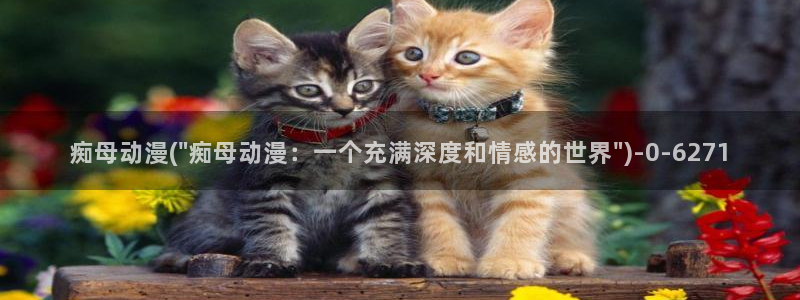 变身动漫：痴母动漫(\