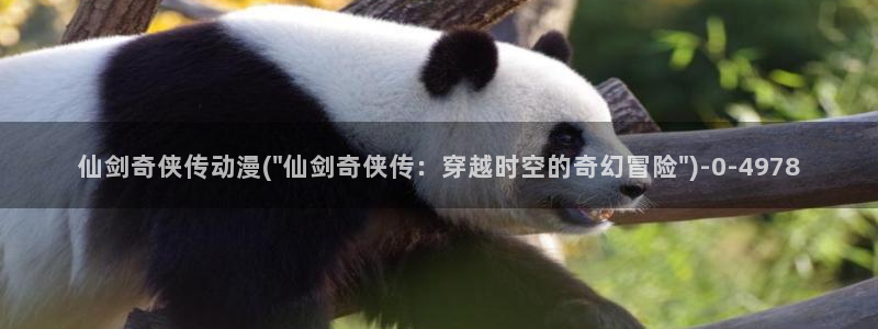 动漫推荐