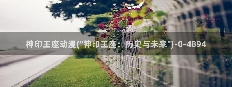 yy动漫