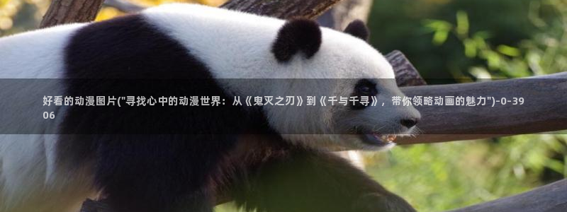 里番动漫